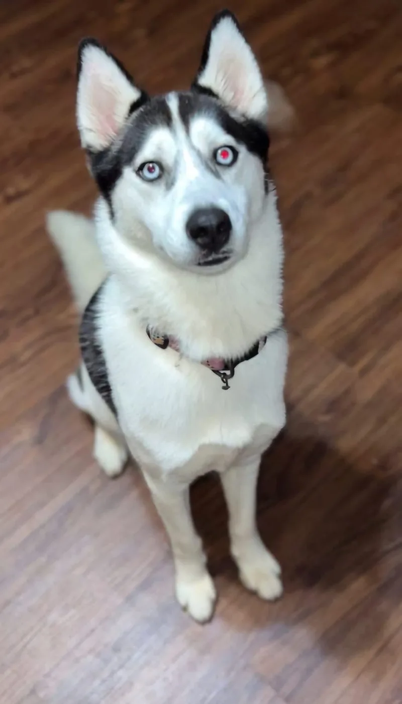 Darla thumbnail 5