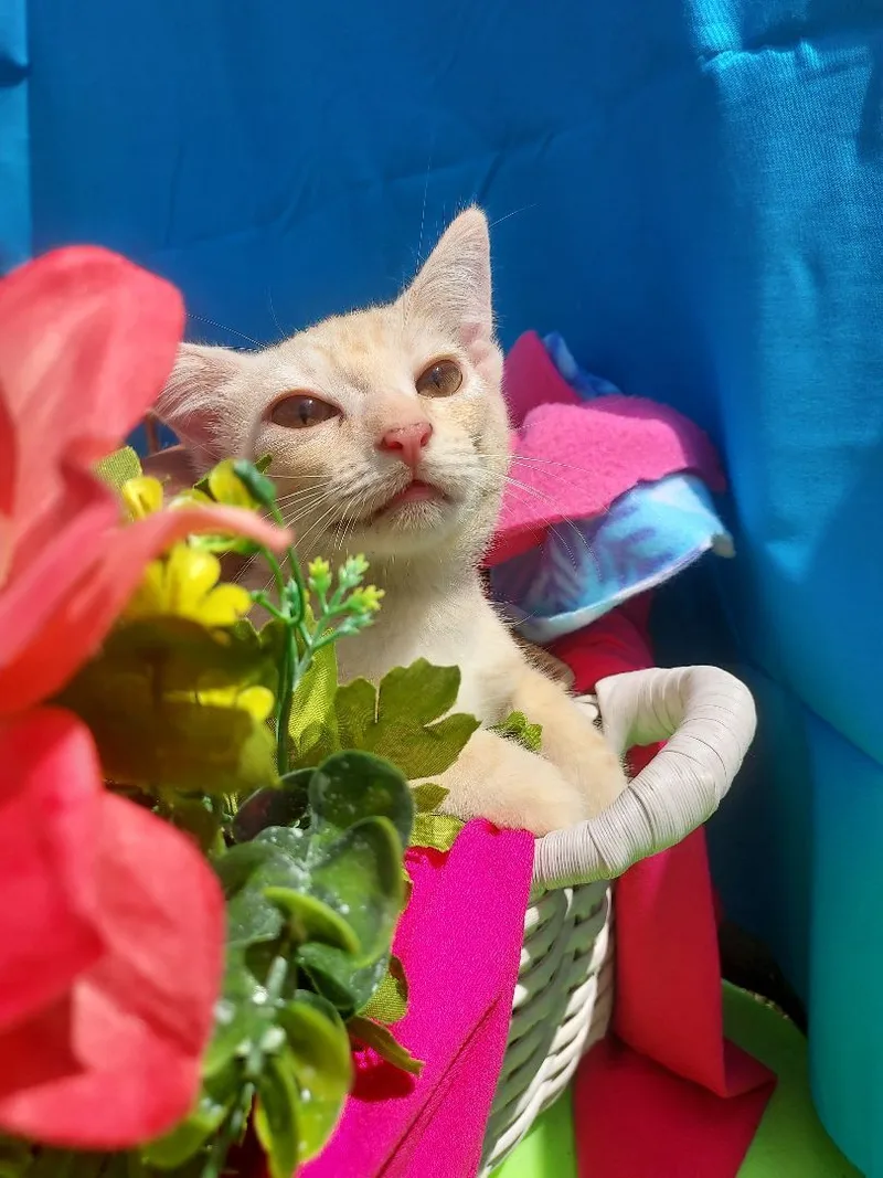 Summersky thumbnail 2