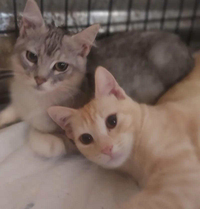 Summersky thumbnail 3