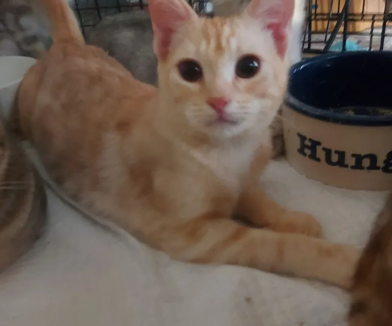 Summersky thumbnail 4