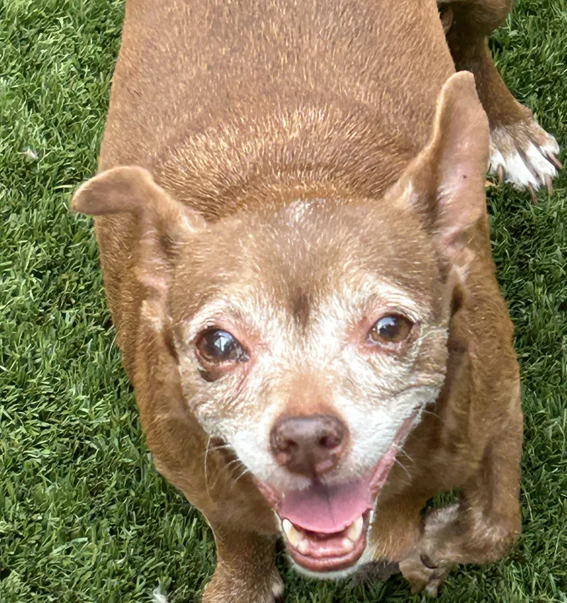 Sally Chi thumbnail 2