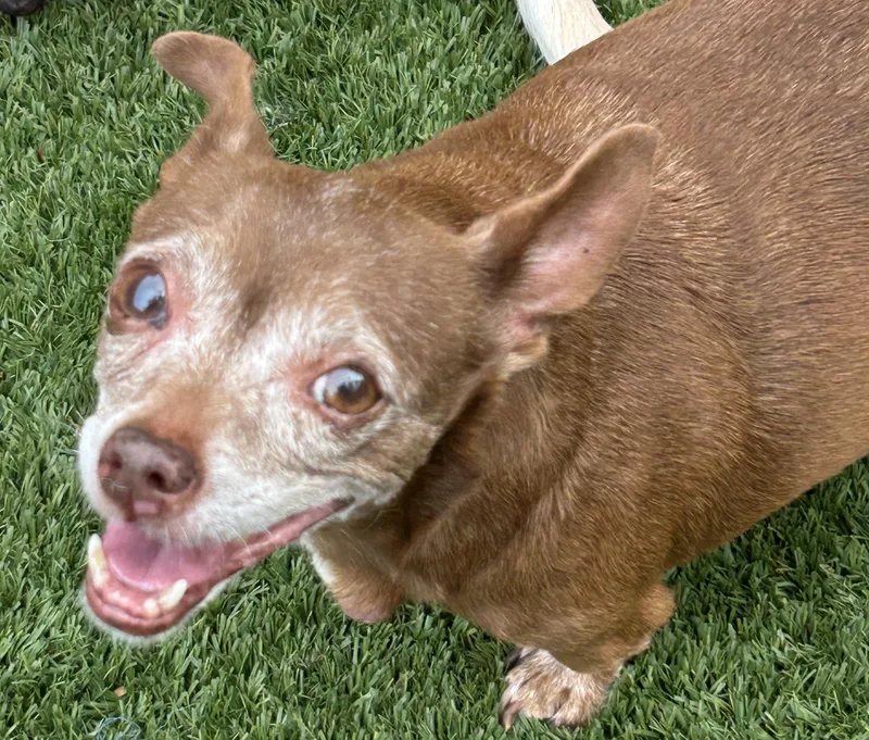 Sally Chi thumbnail 3