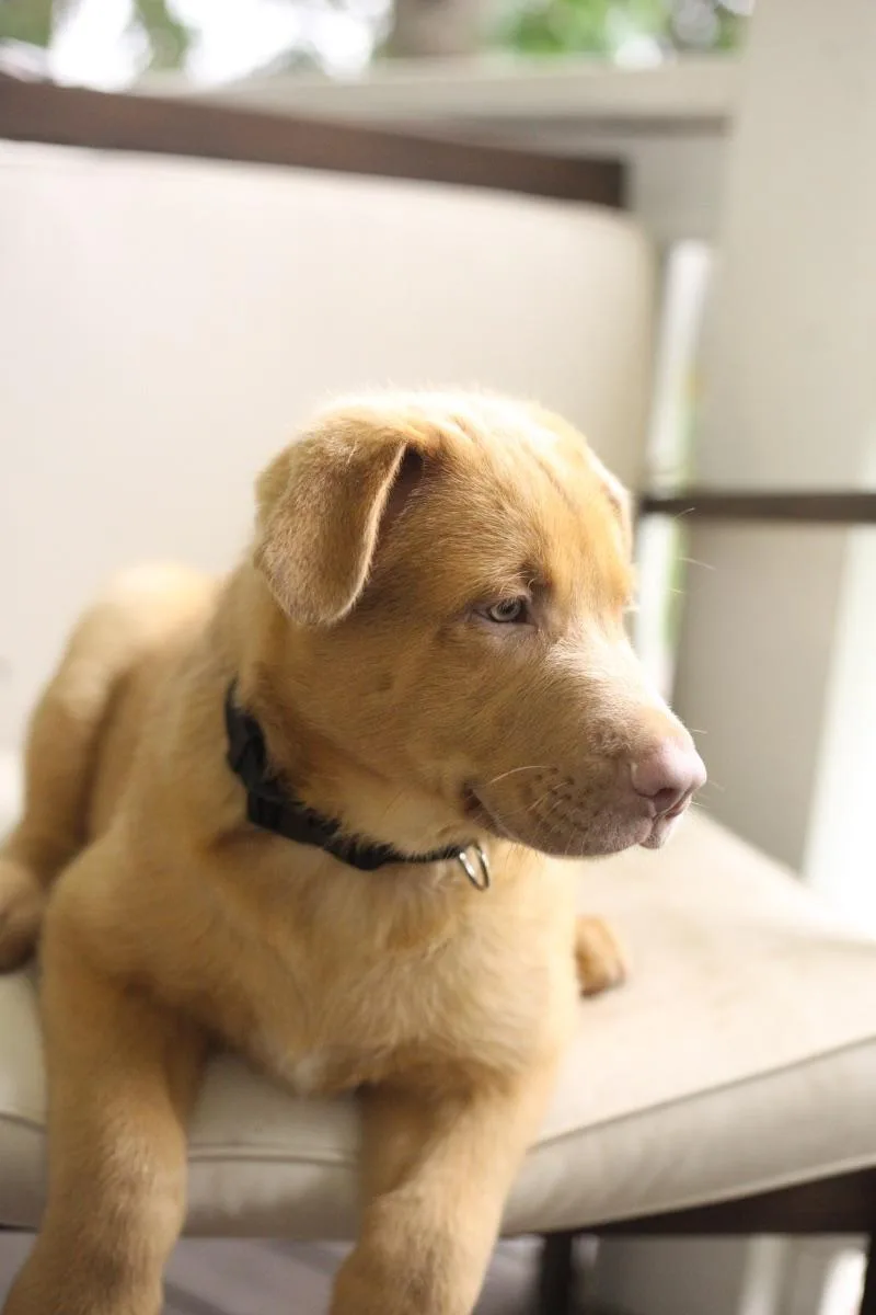 Bruno thumbnail 3