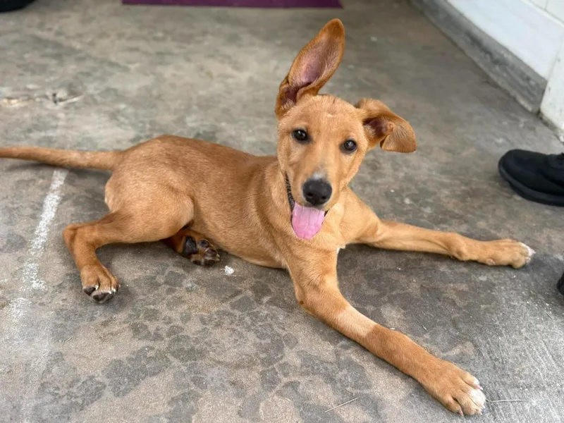 Sourdough thumbnail 2