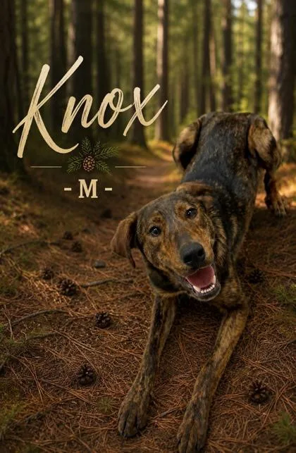 Knox