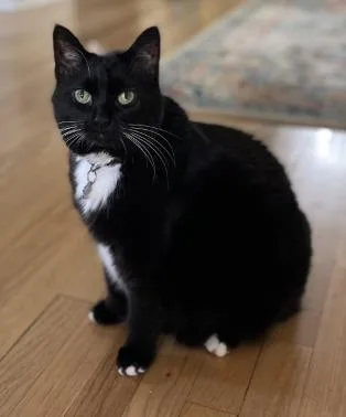 Darwin