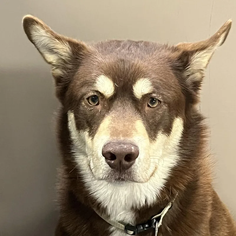 Ooo Bear thumbnail 2