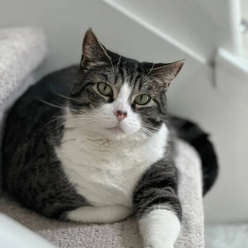 Frankie