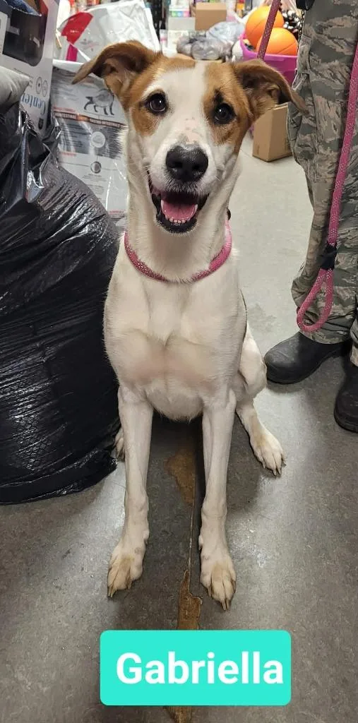 Gabriella thumbnail 2