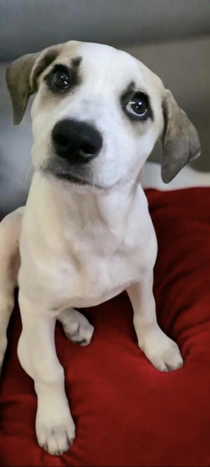 Kiki "the Cutest!" thumbnail 3