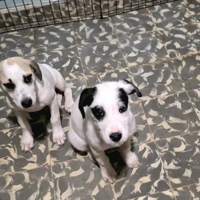 Kiki "the Cutest!" thumbnail 4