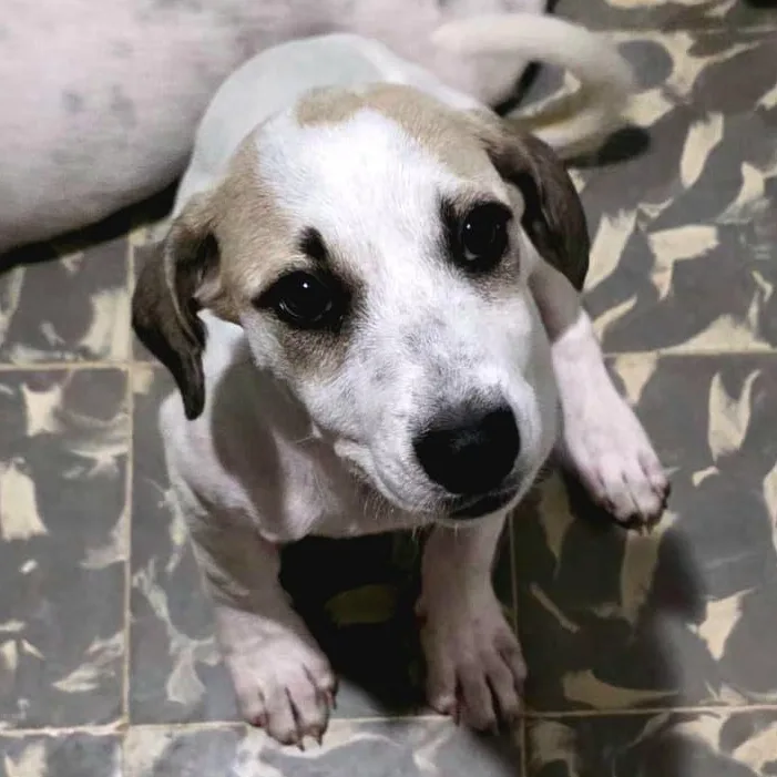 Kiki "the Cutest!" thumbnail 5