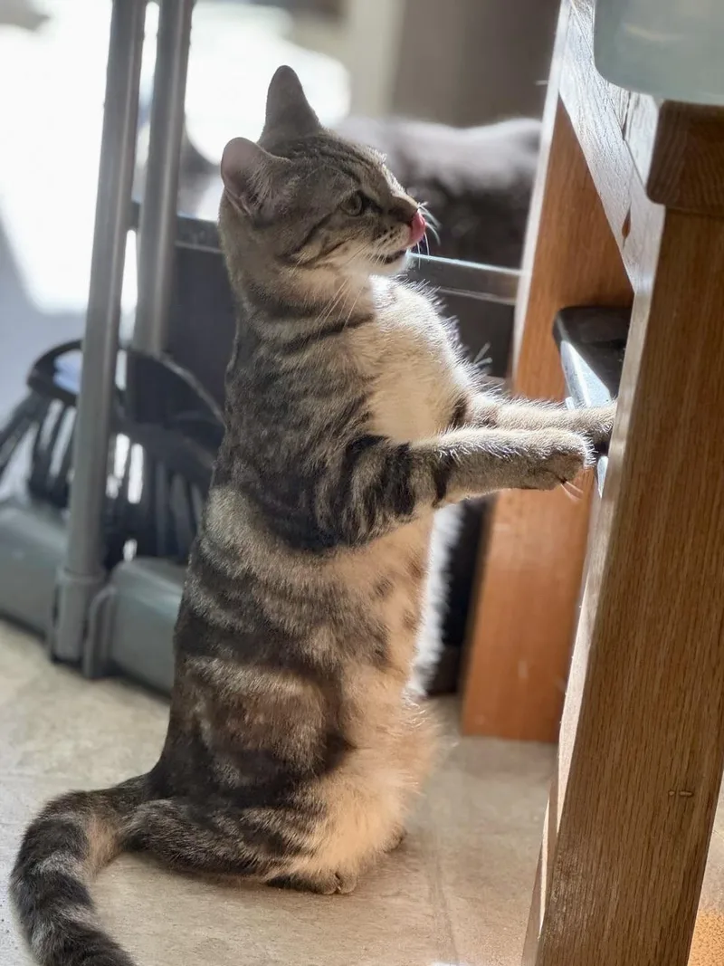 Bridgett thumbnail 4