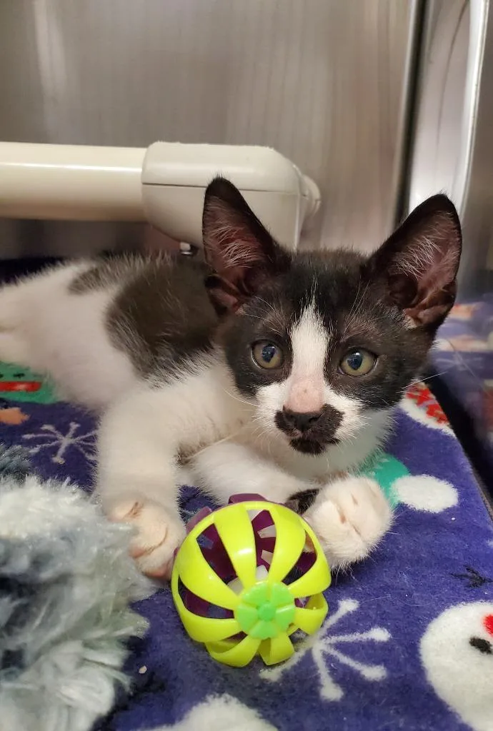 Milky Way thumbnail 2