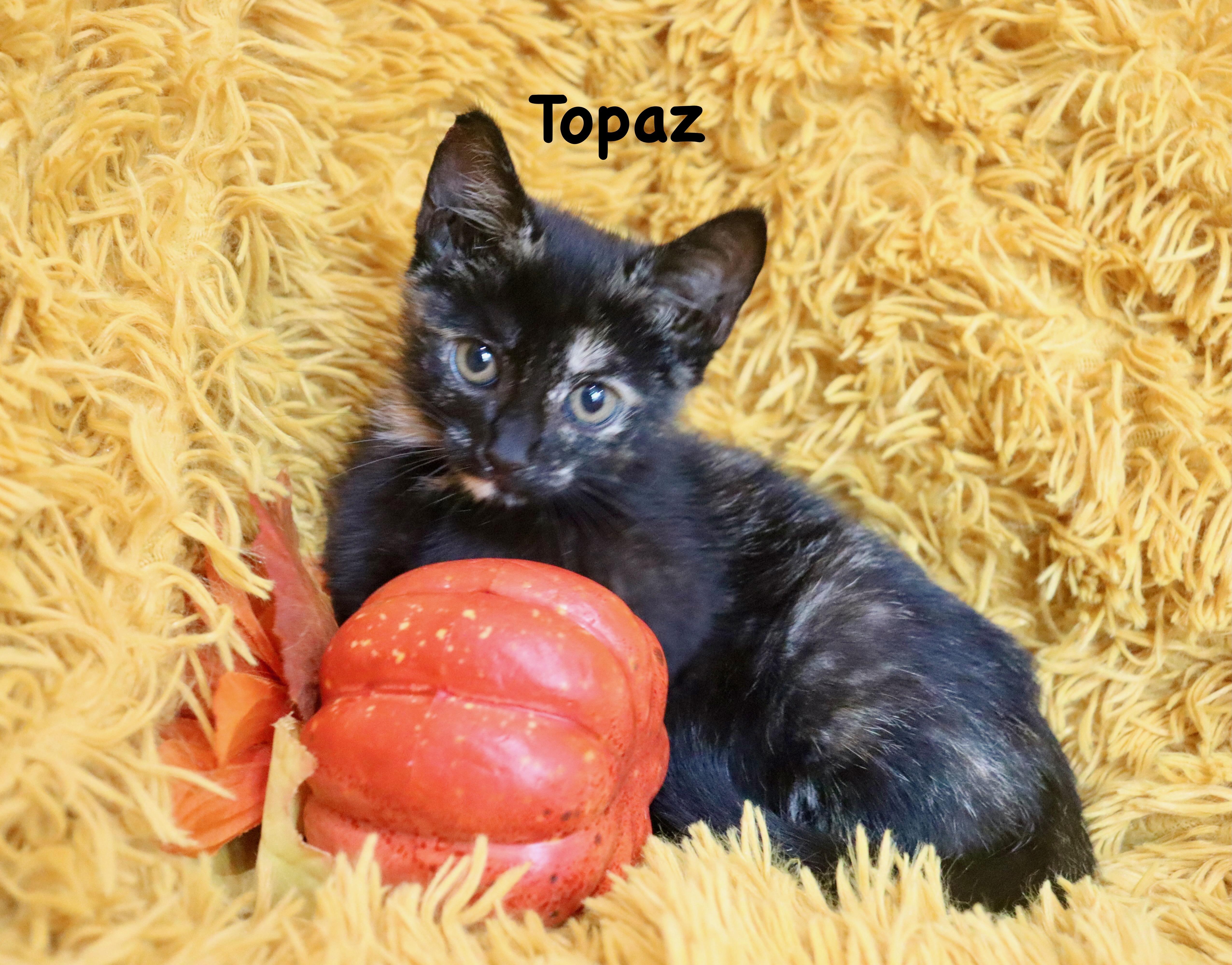 Topaz thumbnail 2