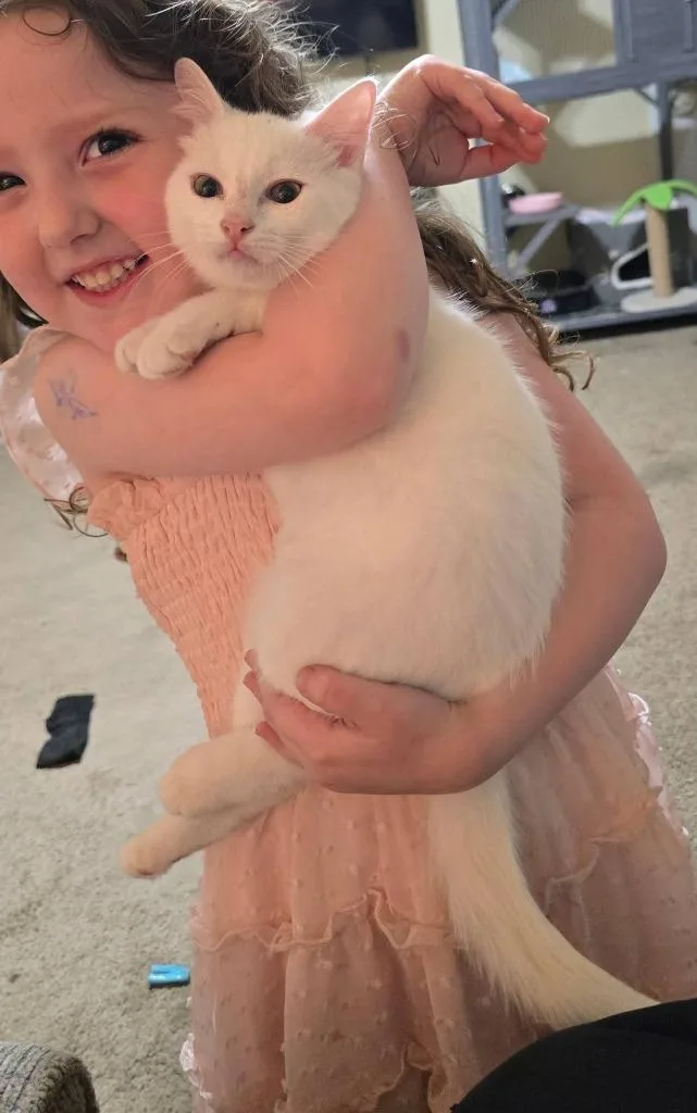 Sugar