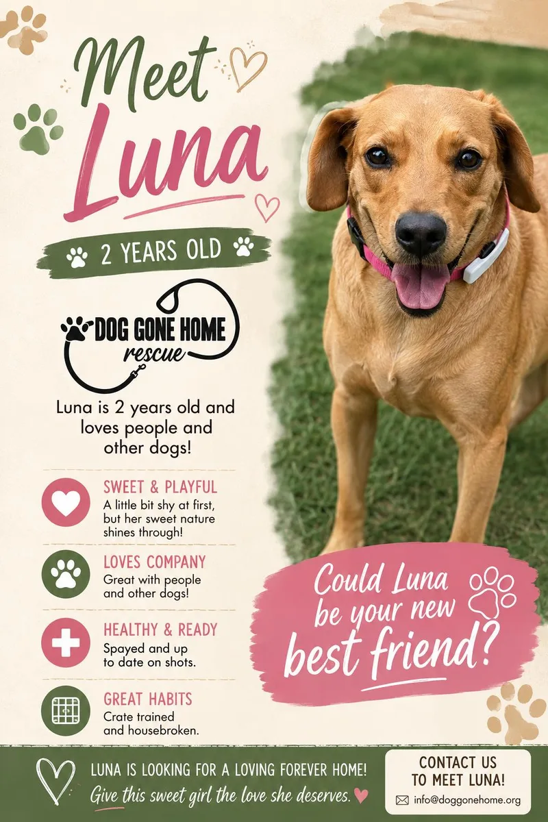 Luna thumbnail 5