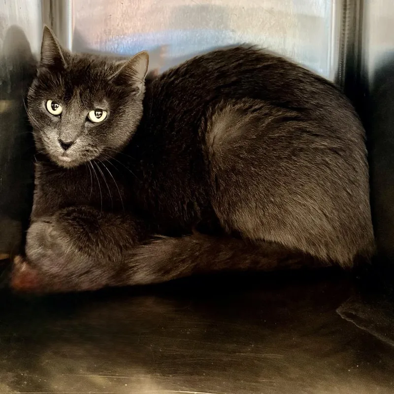 Margaret thumbnail 2