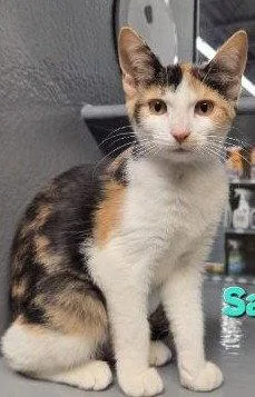 Samira