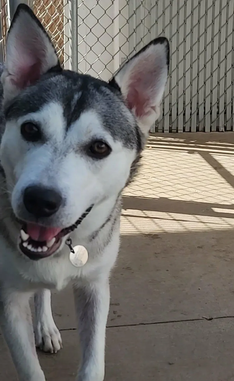 Sasha thumbnail 3
