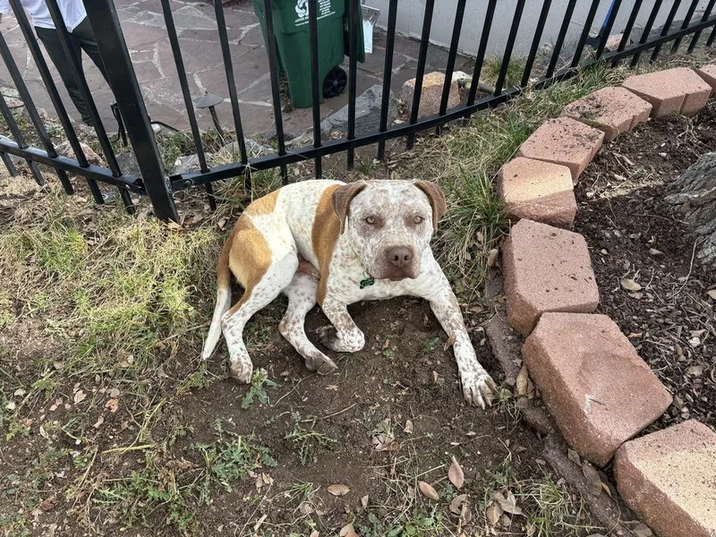 Billy Ray thumbnail 2