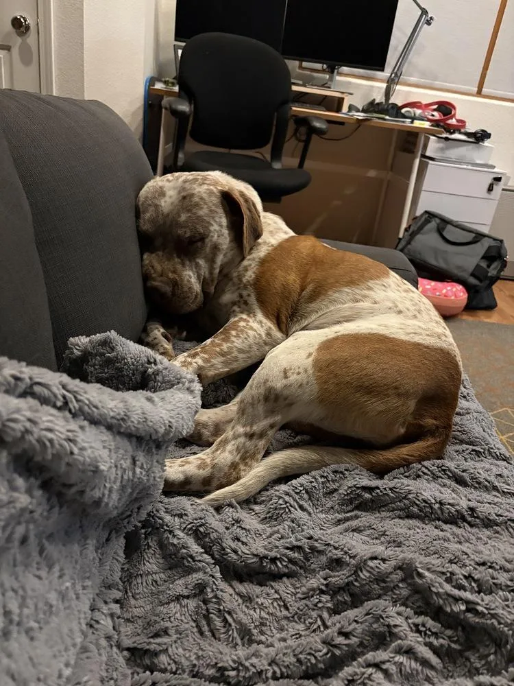 Billy Ray thumbnail 3