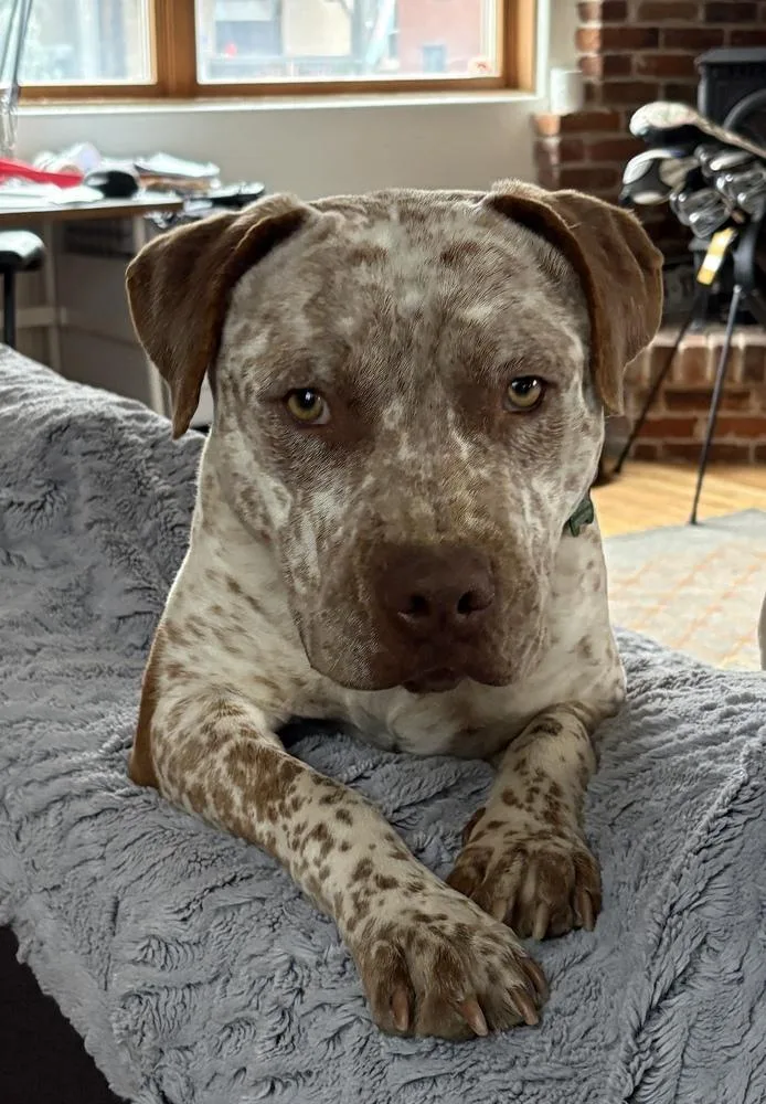 Billy Ray thumbnail 4