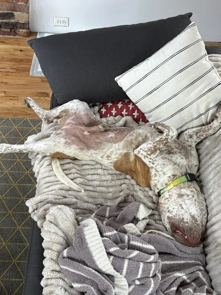 Billy Ray thumbnail 5