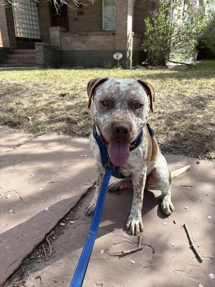 Billy Ray thumbnail 6