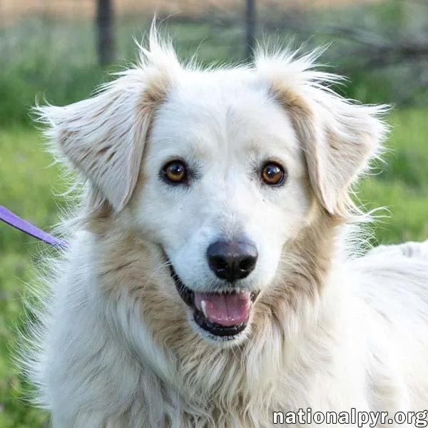 Betty In Tn  thumbnail 2