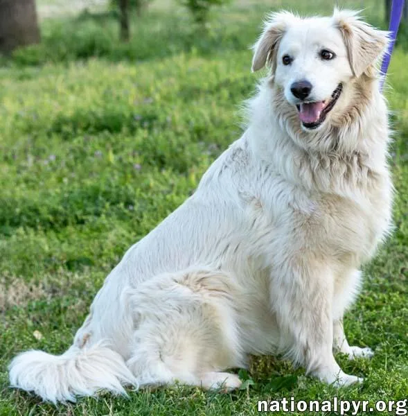 Betty In Tn  thumbnail 3
