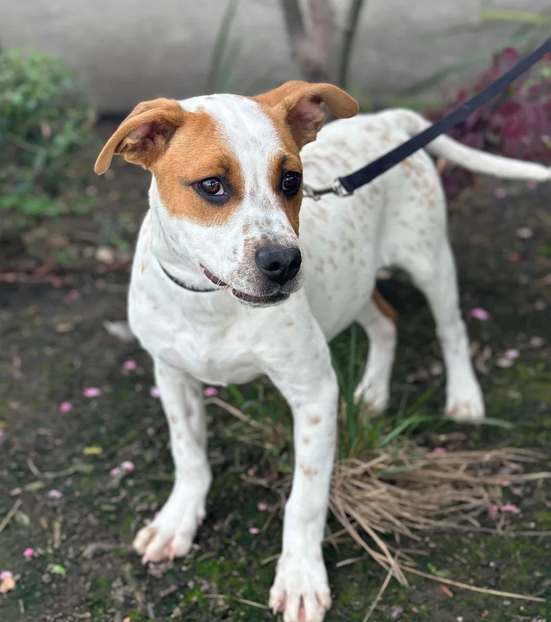 Blockbuster thumbnail 2