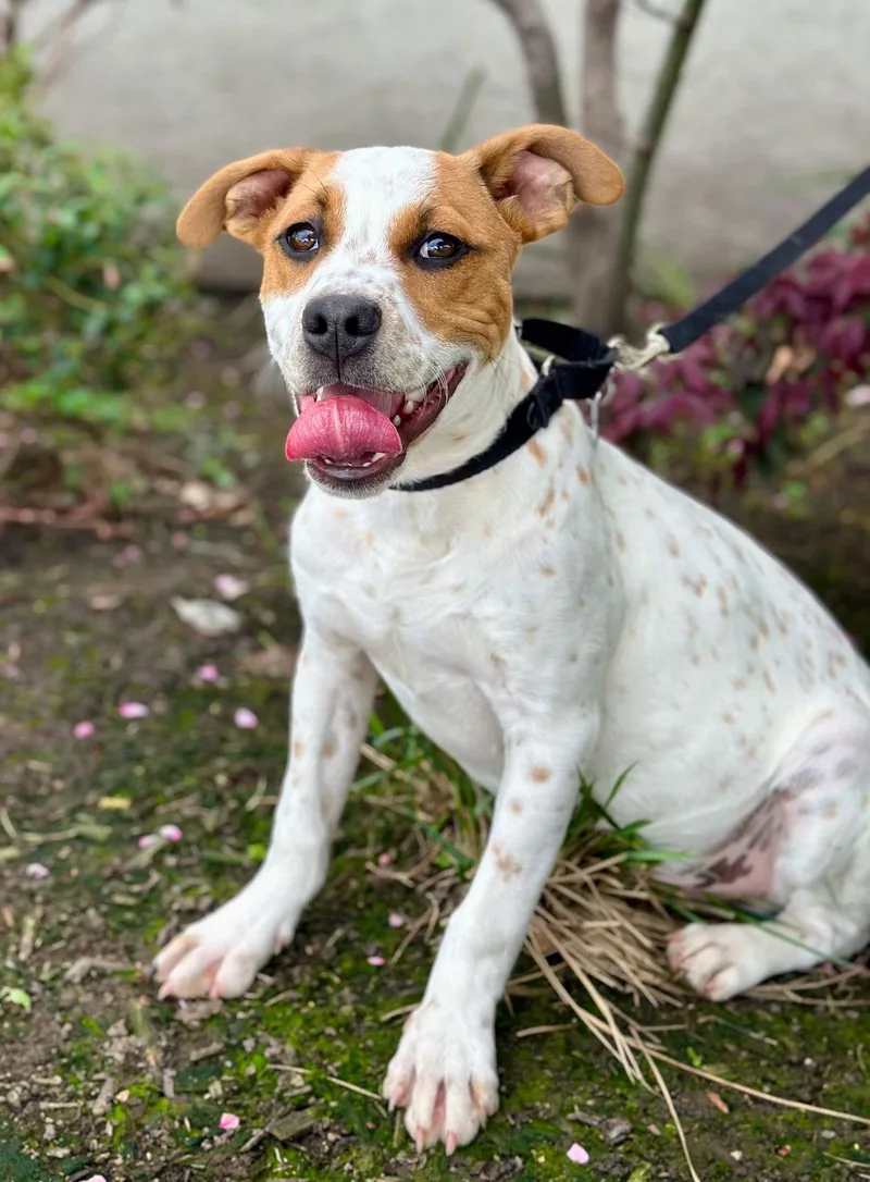 Blockbuster thumbnail 3