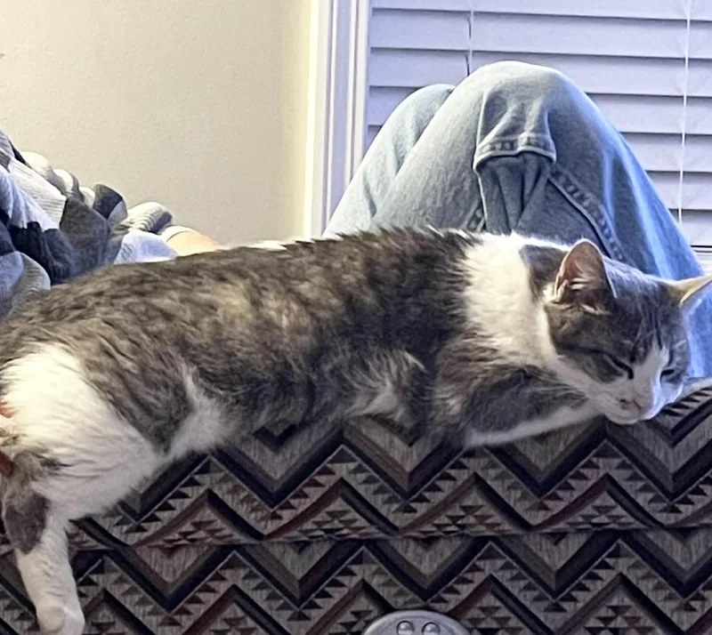 Gracie Mae thumbnail 2