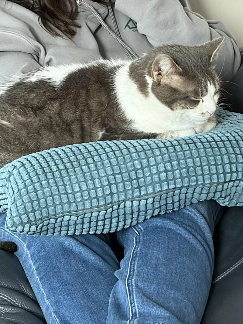 Gracie Mae thumbnail 3