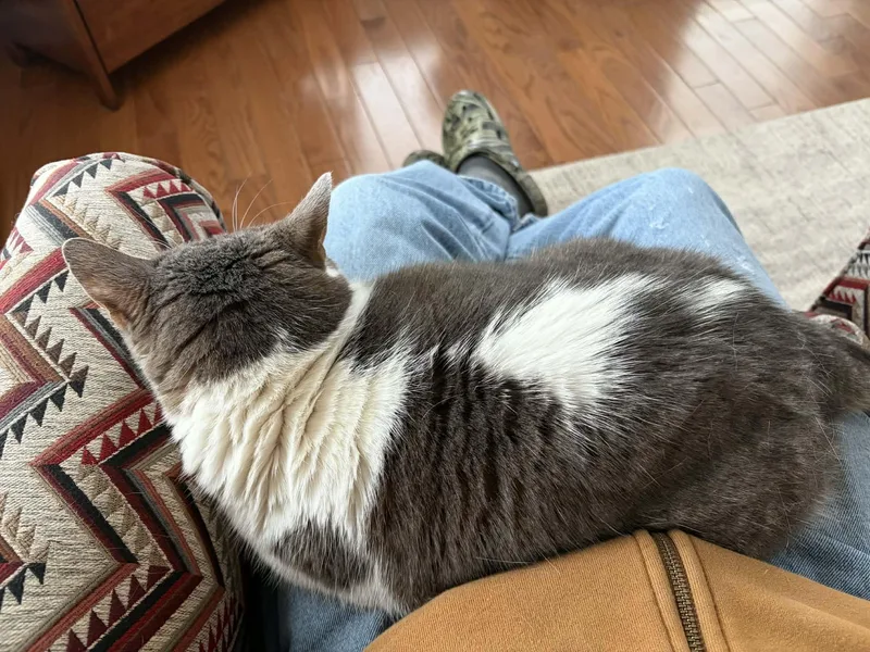 Gracie Mae thumbnail 4