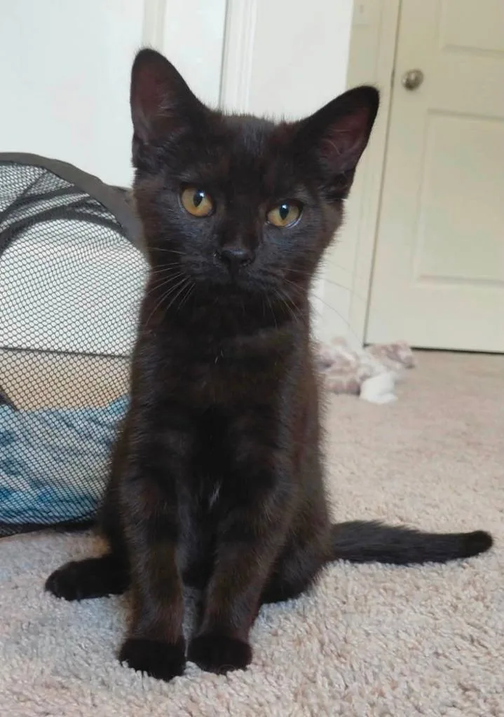 Winnie