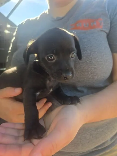 Bartholomew thumbnail 3