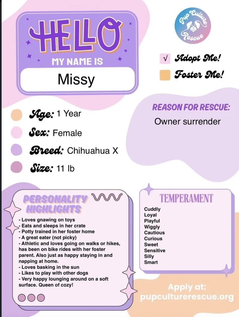 Missy thumbnail 4