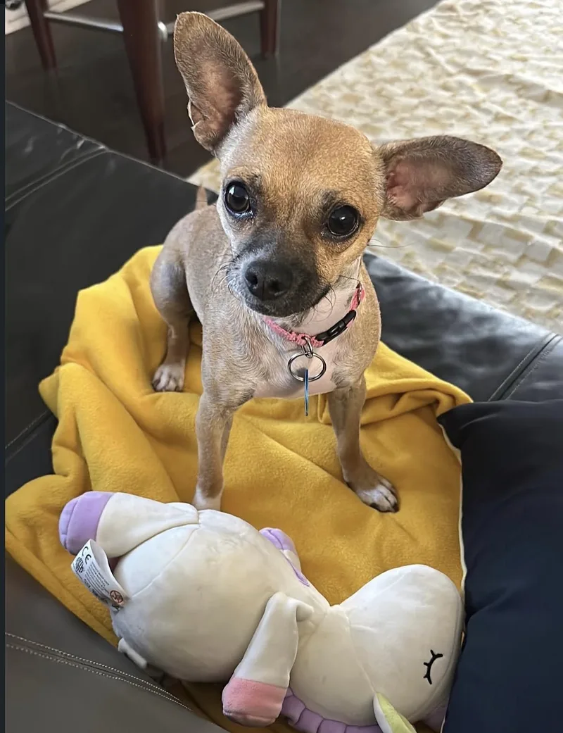 Missy thumbnail 5