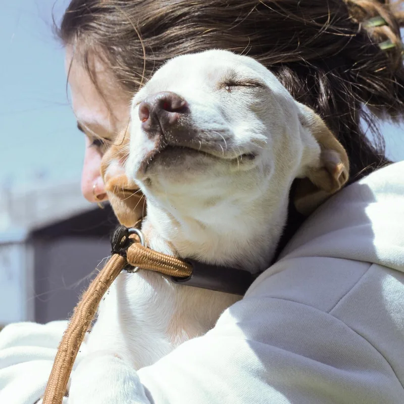 Steering Wheel thumbnail 6