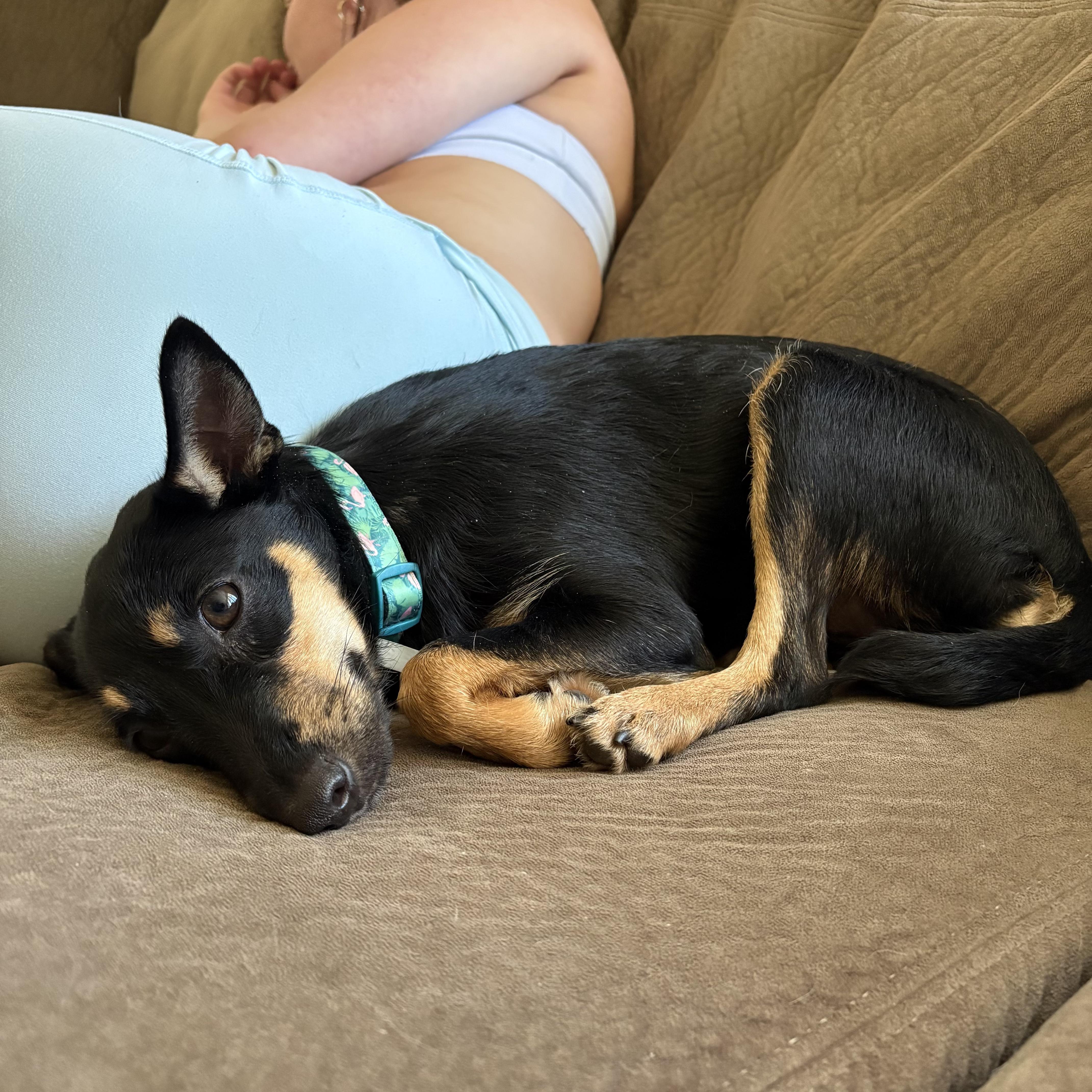 Pepper thumbnail 4