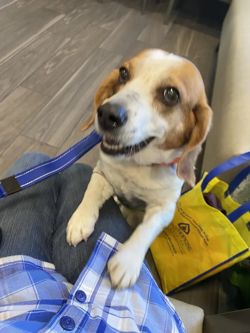 Charlie Brown thumbnail 4