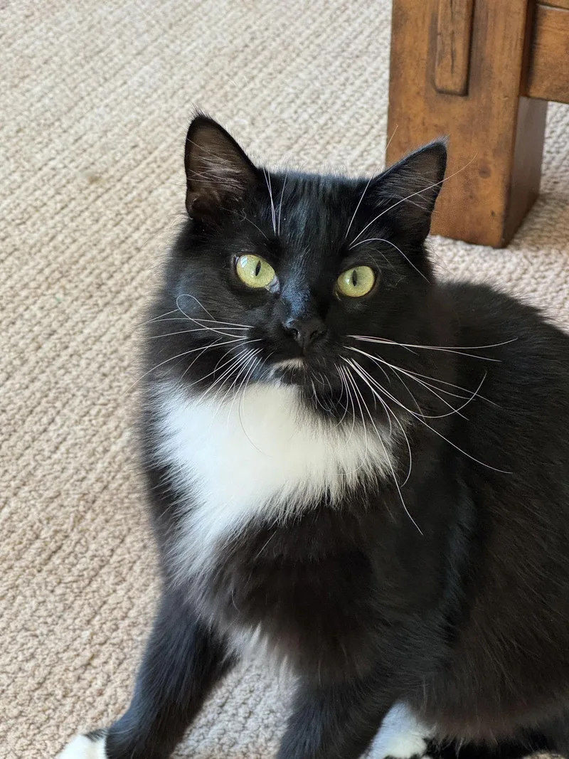 Charlotte thumbnail 2