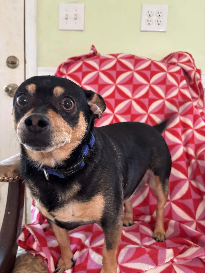 Louie Sep thumbnail 3