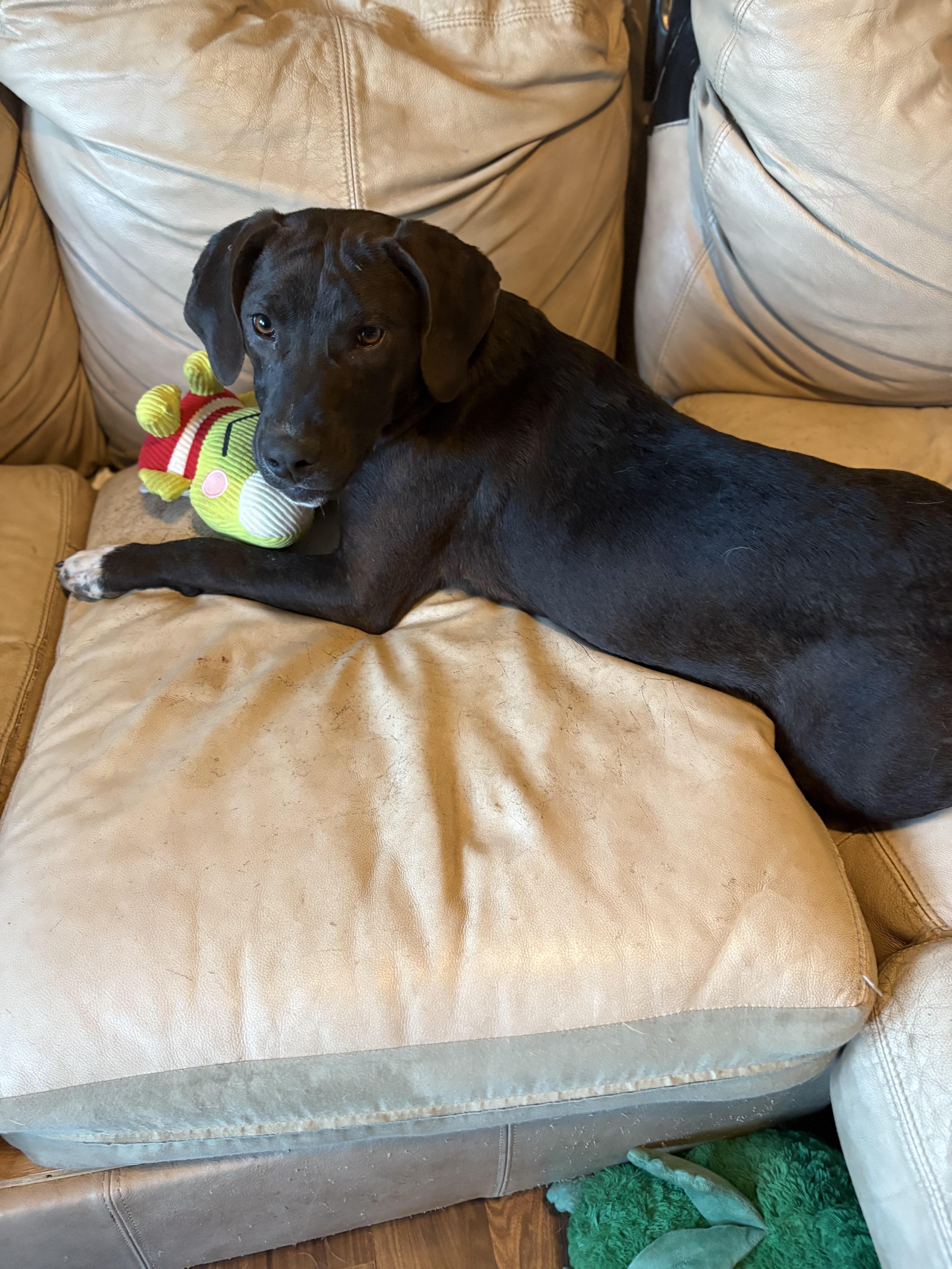 Jak Sponsored Fee thumbnail 5