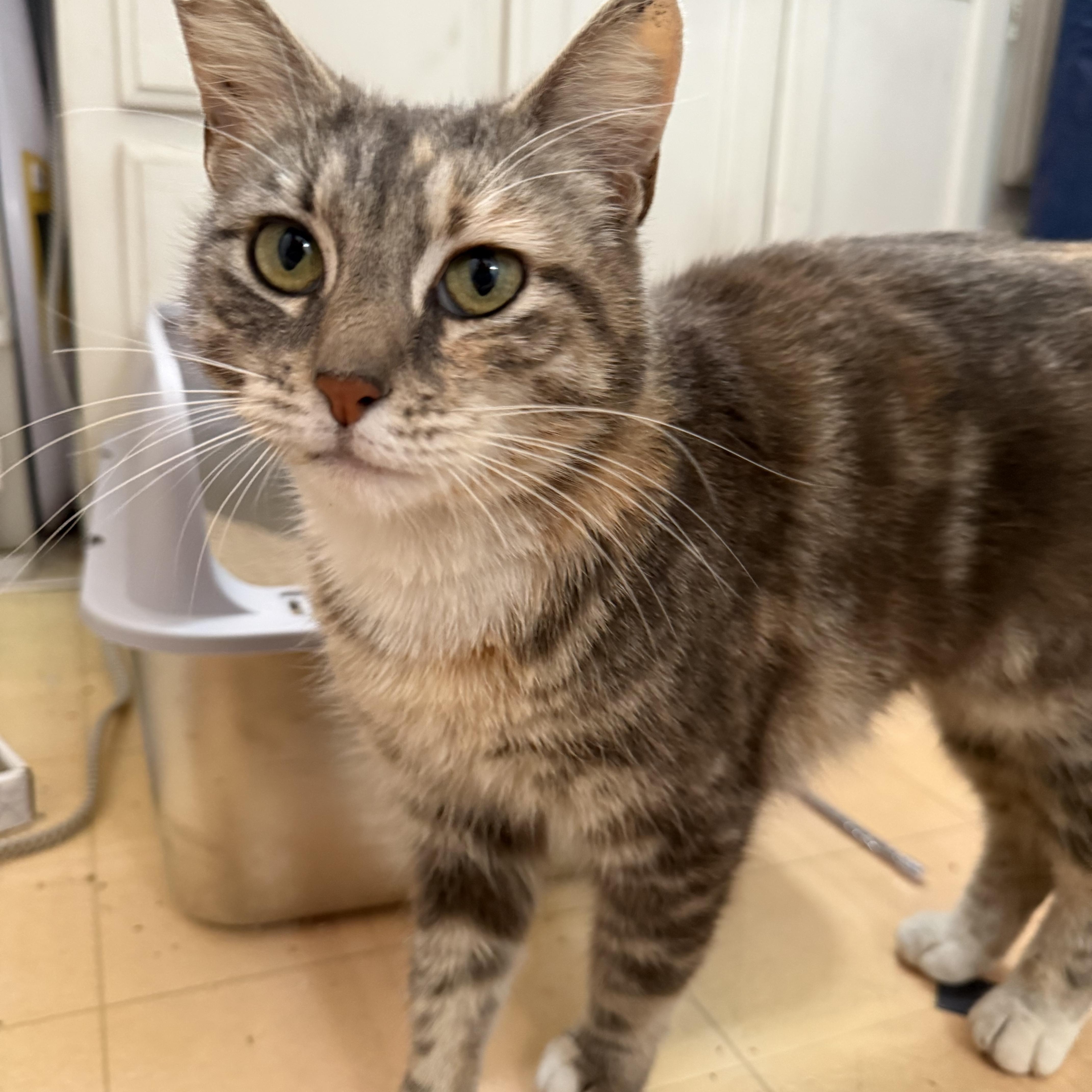 Francesca thumbnail 2