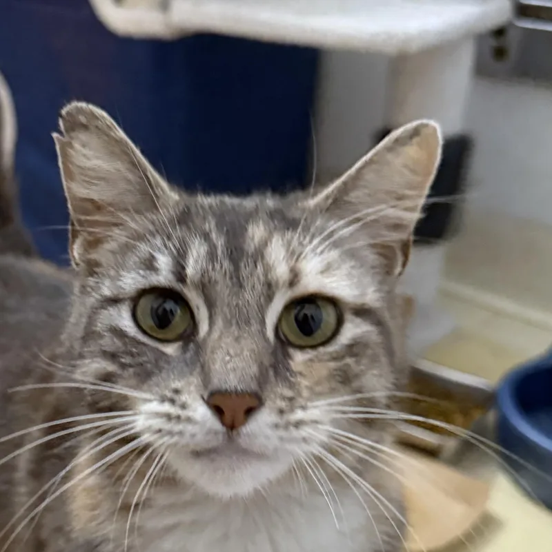 Francesca thumbnail 3