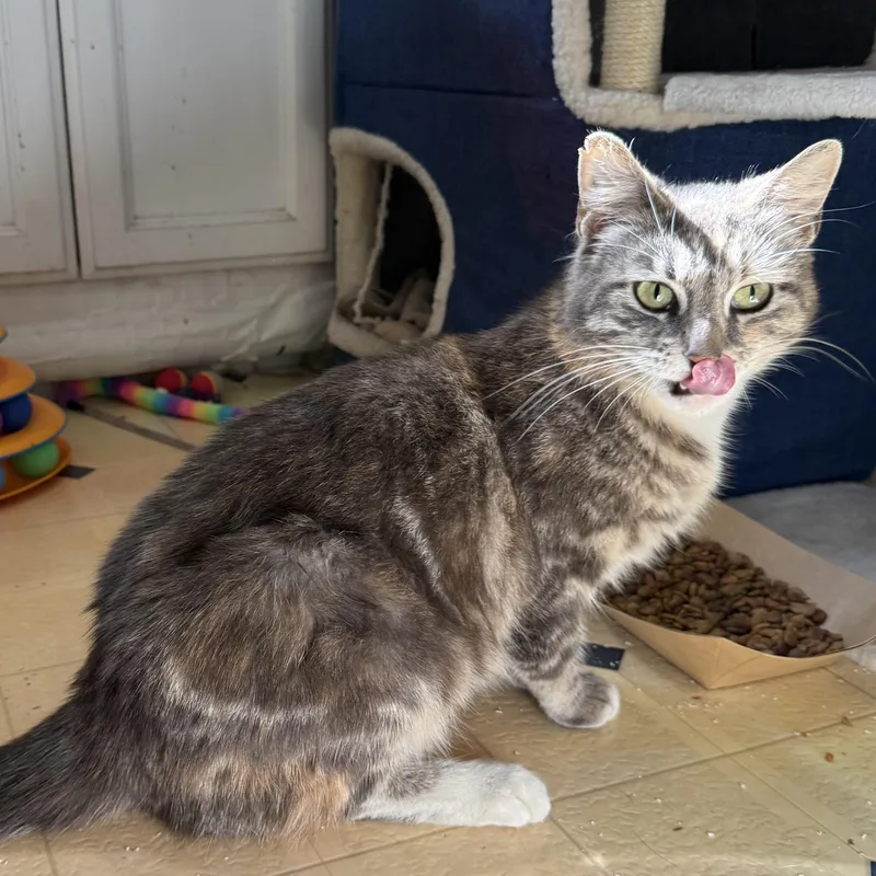 Francesca thumbnail 4