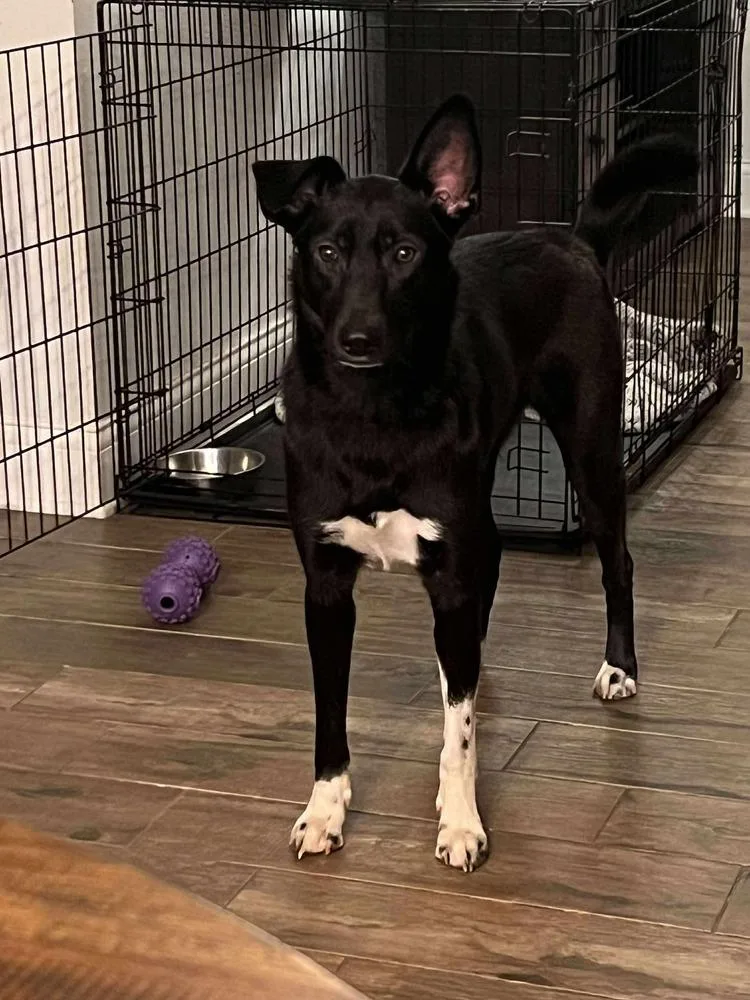 Luna Harlow thumbnail 2